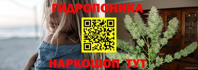 jwh Лесосибирск